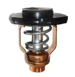 valvula termostatica yamaha 90