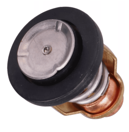 Valvula Termostatica Yamaha 90 100 200 225 250 Mercury Suzuki 