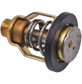 valvula termostatica yamaha 115