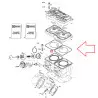 guarnicao-vedacao-tampa-cabecote-jet-ski-seadoo-800-xp-xpi-gsx-gtx-rfi-le-290931420-fronza-catalogo