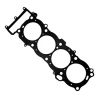junta cabecote 1100