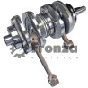 Virabrequim do motor de Popa para Yamaha / Sailor / Maranello / Titan / Powertec / Hidea / Kawashima 40 Hp