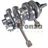 Virabrequim do motor de Popa para Yamaha / Sailor / Maranello / Titan / Powertec / Hidea / Kawashima 40 Hp